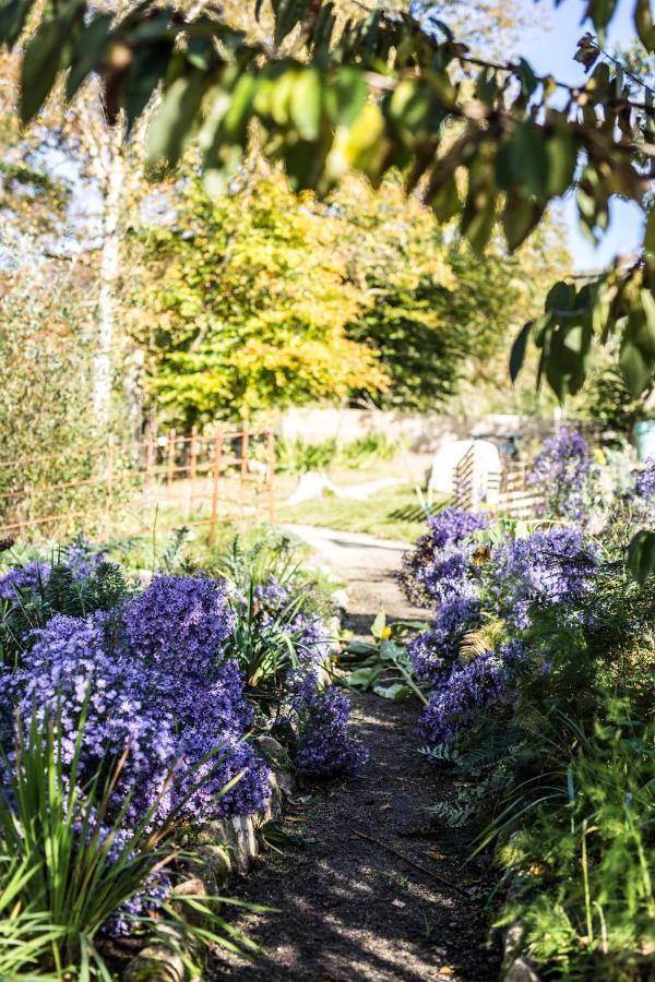 The Wicklow Escape (Adults Only) Donard ภายนอก รูปภาพ