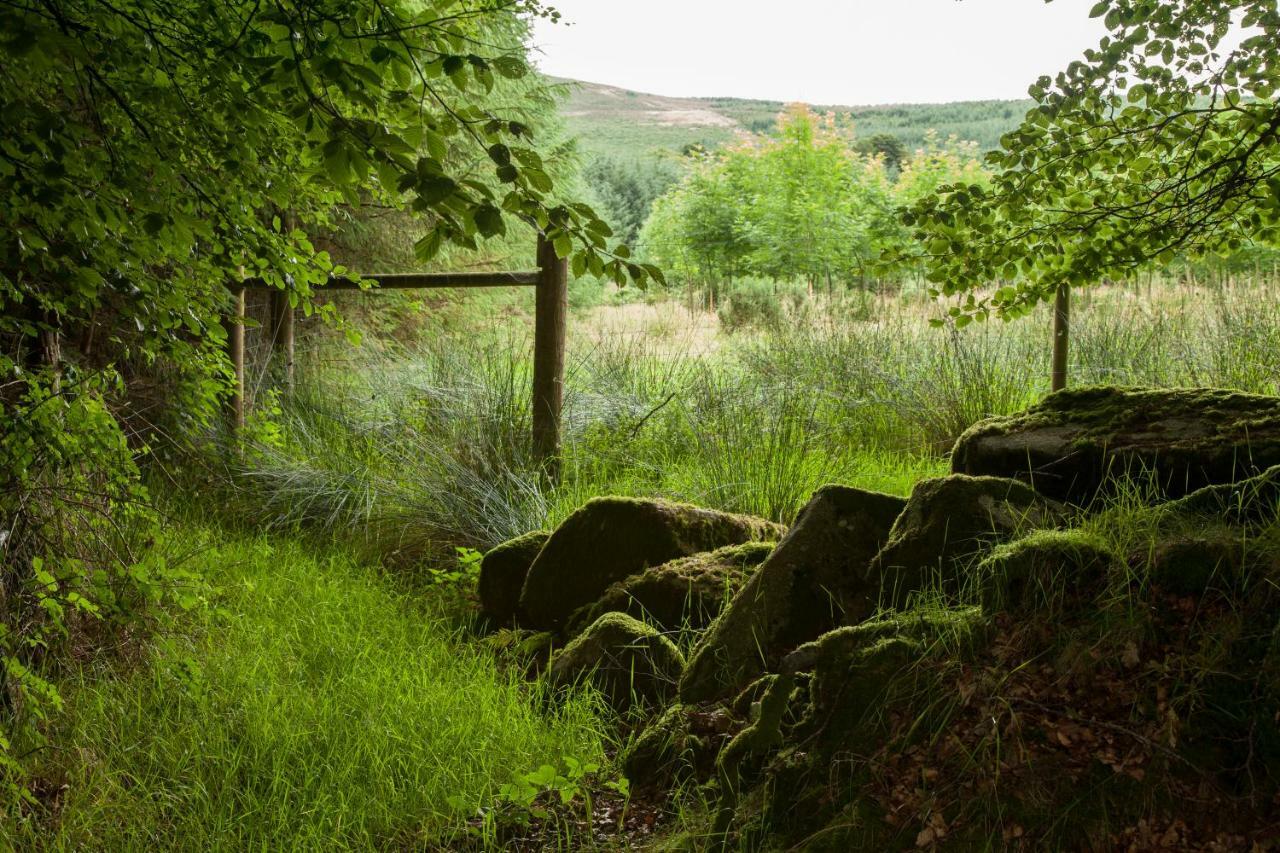 The Wicklow Escape (Adults Only) Donard ภายนอก รูปภาพ