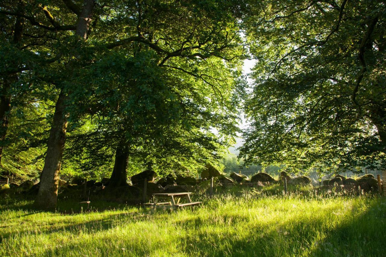 The Wicklow Escape (Adults Only) Donard ภายนอก รูปภาพ